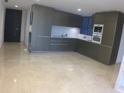 Cairnhill Nine (D9), Apartment #137977162